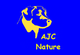 AJC Nature